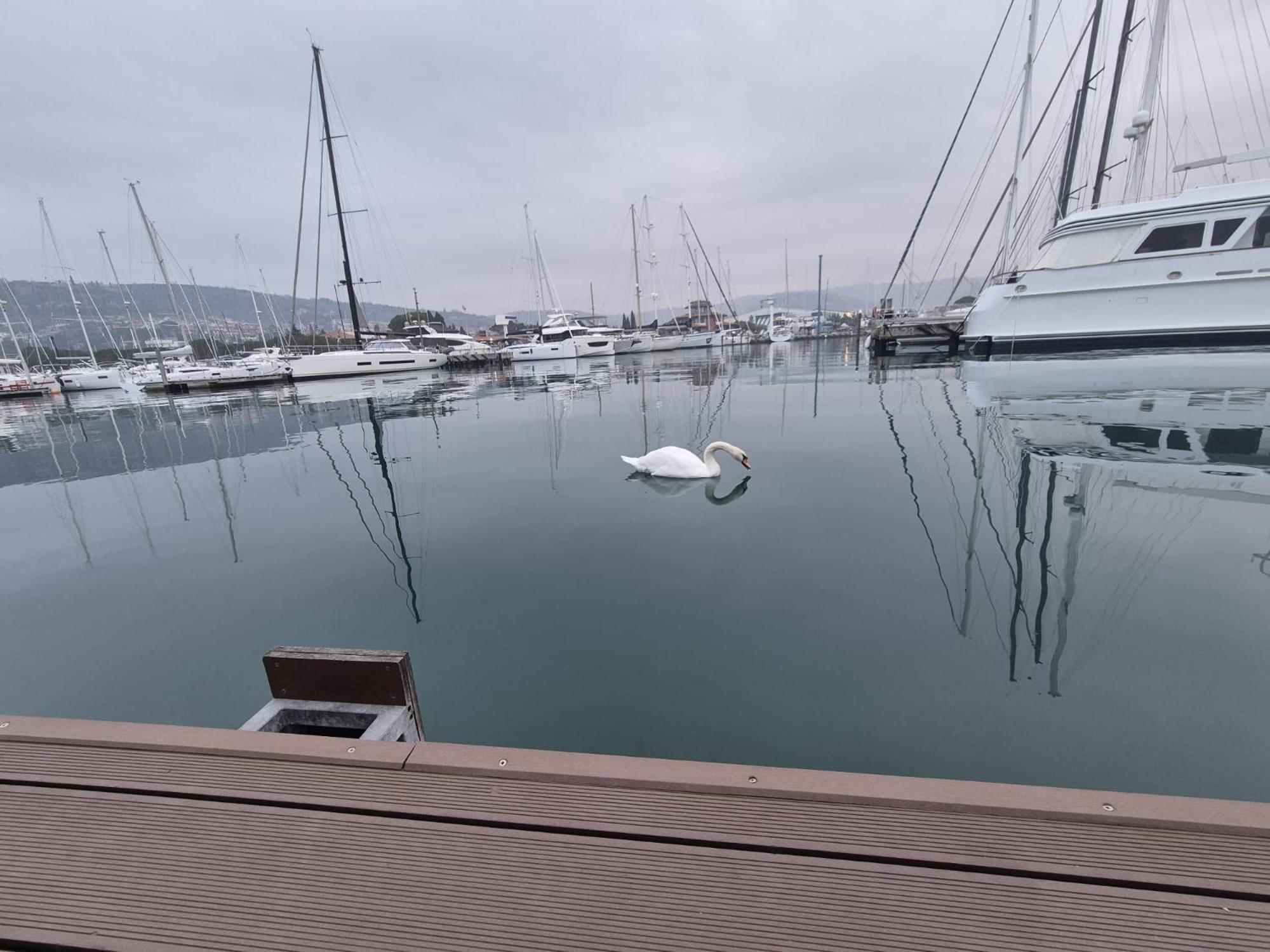 Floating Sea House Aurora Villa Portorož Kültér fotó
