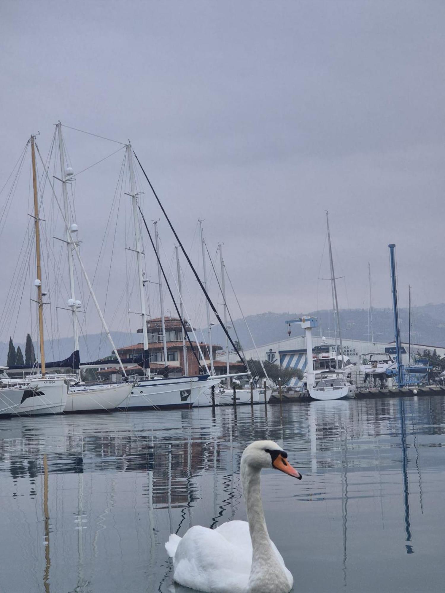Floating Sea House Aurora Villa Portorož Kültér fotó