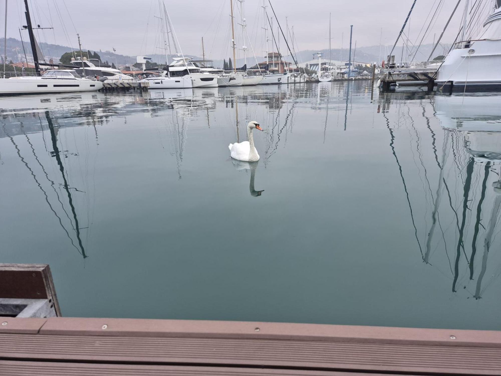 Floating Sea House Aurora Villa Portorož Kültér fotó